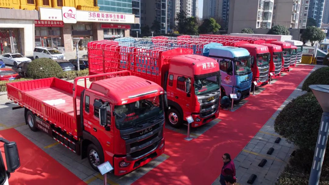 d88×ðÁúz6(Öйú)¹Ù·½ÍøÕ¾