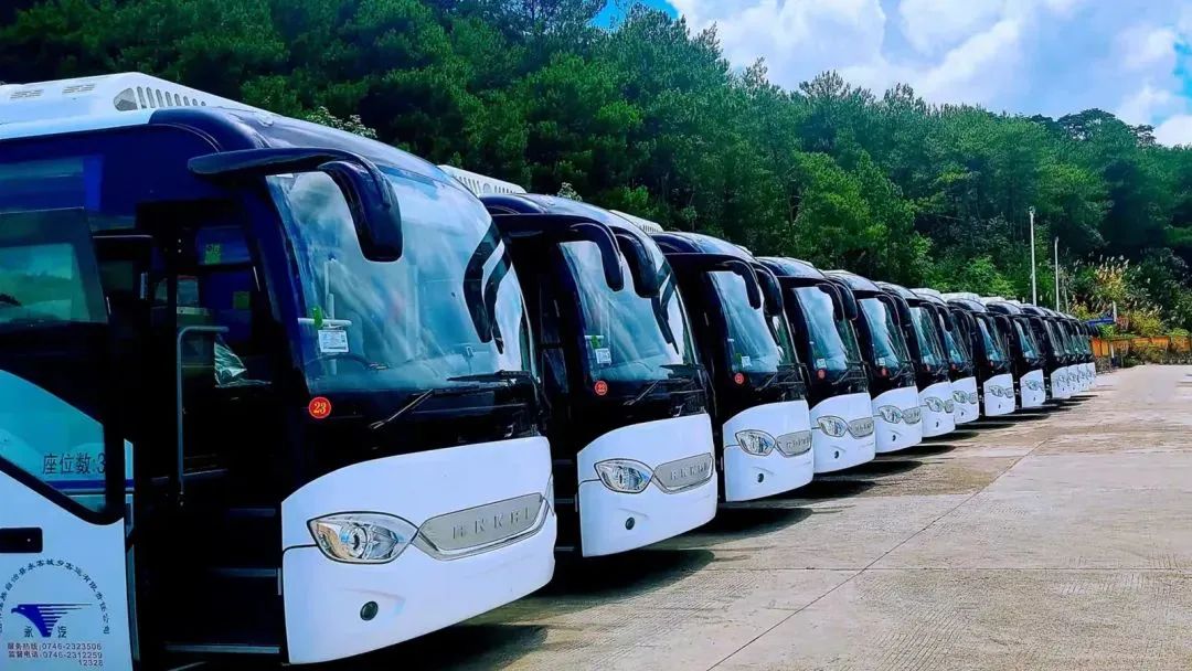 d88尊龙z6(中国)官方网站